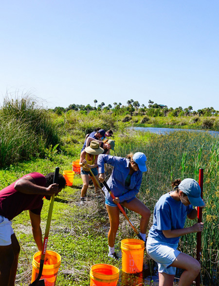 Bright Beginnings - imagen de un padre y su hijo sonriendo mientras leen un libro