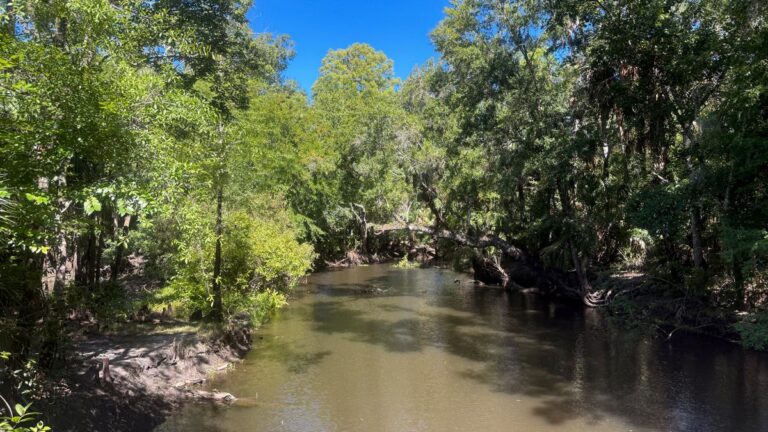 Bosque de Pasadena