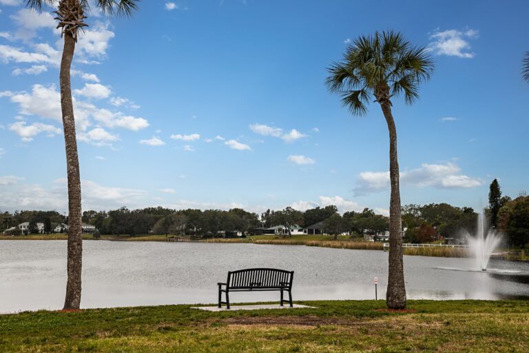 Reserva del Lago Gum
