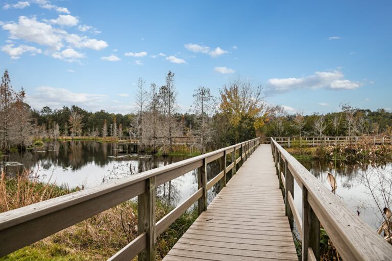 Reserva del Lago Gum